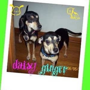 Meet your Posher, Nikki